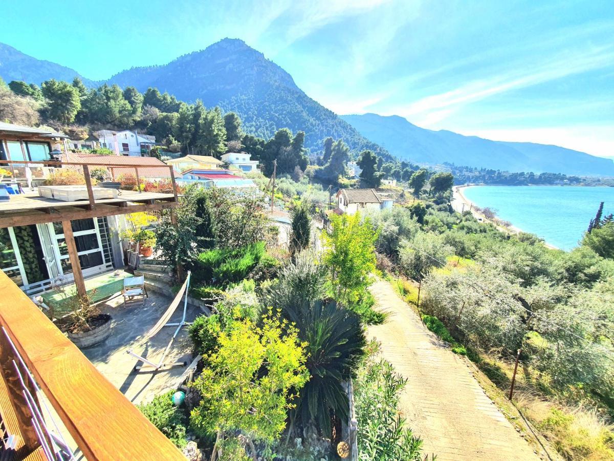 Magical View Studios Asproneri, Kamena Vourla Exterior photo