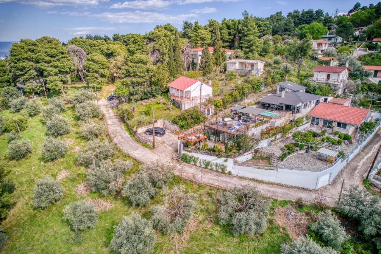 Magical View Studios Asproneri, Kamena Vourla Exterior photo
